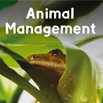 Animal management thumbnail