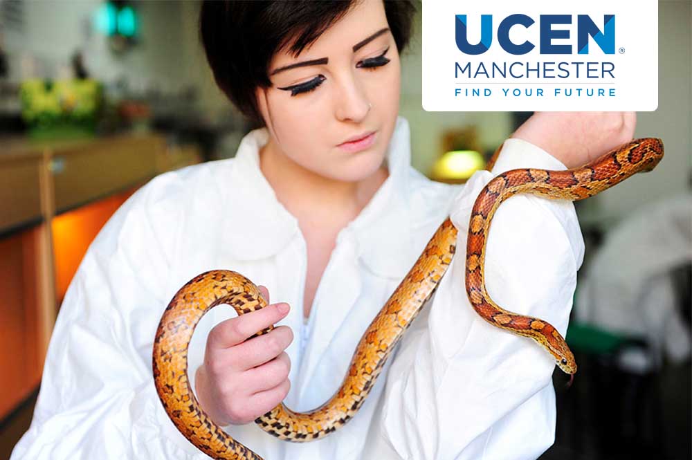 Animal care student holding a snake