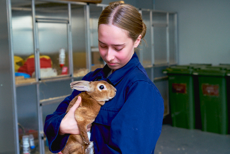 Animal Management student holds a rabbit