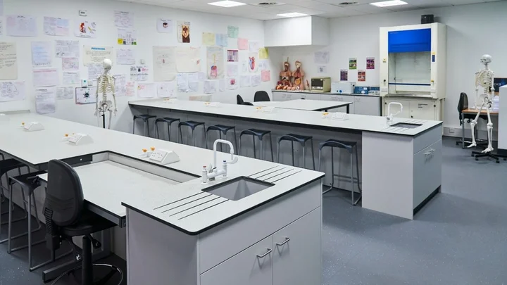 A modern science laboratory with workbenches, sinks, stools, anatomical models, skeletons, and student posters displayed on the walls.