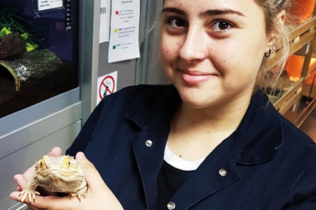 Animal Care Courses at The Manchester College tmc.ac.uk