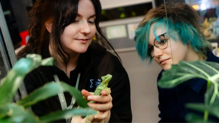 Animal Management practical session showing learners handling a green lizard inside an indoor reptile care area with plants and enclosures.