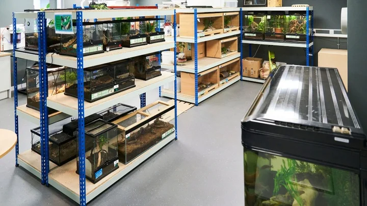 Indoor animal management room at The Manchester College Wythenshawe campus, featuring shelving units filled with reptile and invertebrate enclosures used for practical education and hands‑on animal care training.