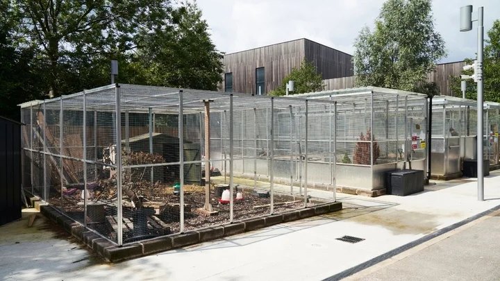Outdoor animal management enclosures at The Manchester College Wythenshawe campus, showing metal mesh cages, natural habitat materials, and educational facilities used for practical animal care training.