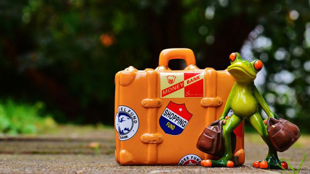 A frog holding two travel bags