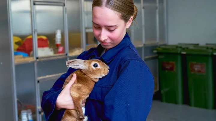 Learner holding a rabbit during an Animal Management practical session inside an indoor animal care room.