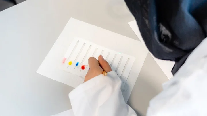 A science learner conducting chromatography, applying coloured samples onto a chromatography strip during a lab experiment.
