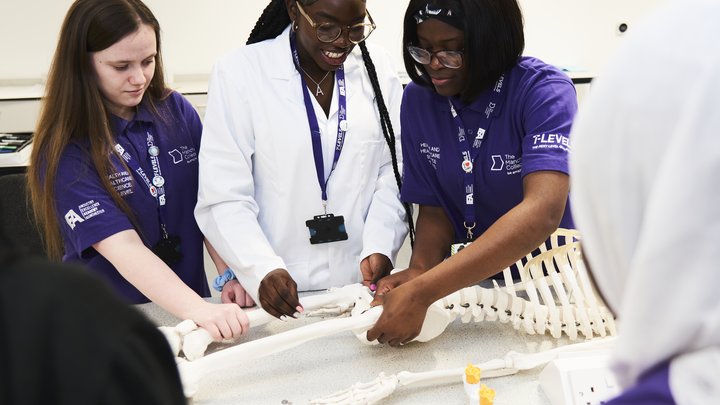 Health and Social Care students gather around a skeleton model