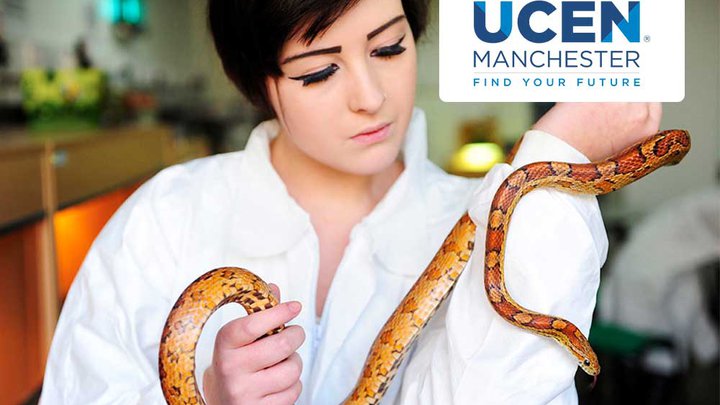 Animal care student holding a snake