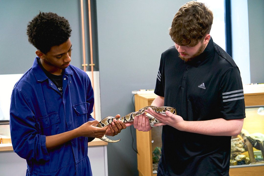 Animal Management Courses at The Manchester College