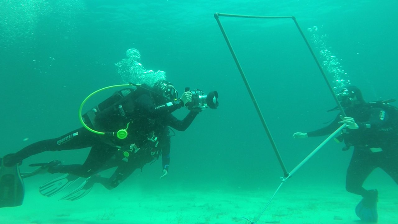 Under water in Mallorca