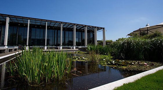 Exterior view of Openshaw campus