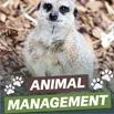 Animal management thumbnail