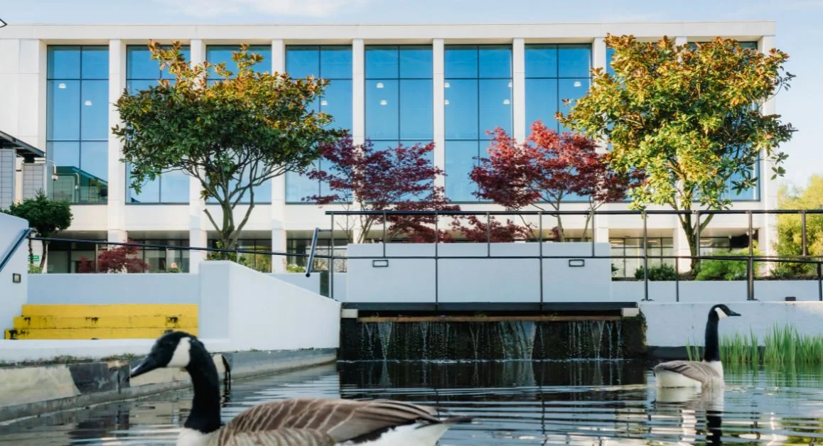 The Manchester College Openshaw Campus building and courtyard with pond and geese swimming