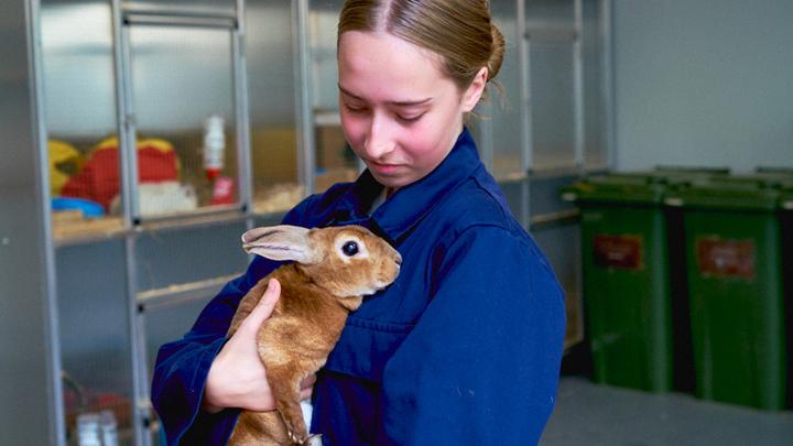 Animal Management student holds a rabbit