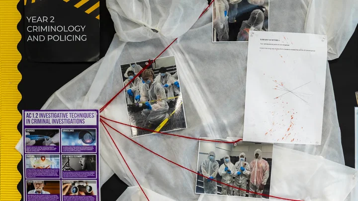 A mind map of crime cases