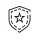 icon of a shield with a star in the centre