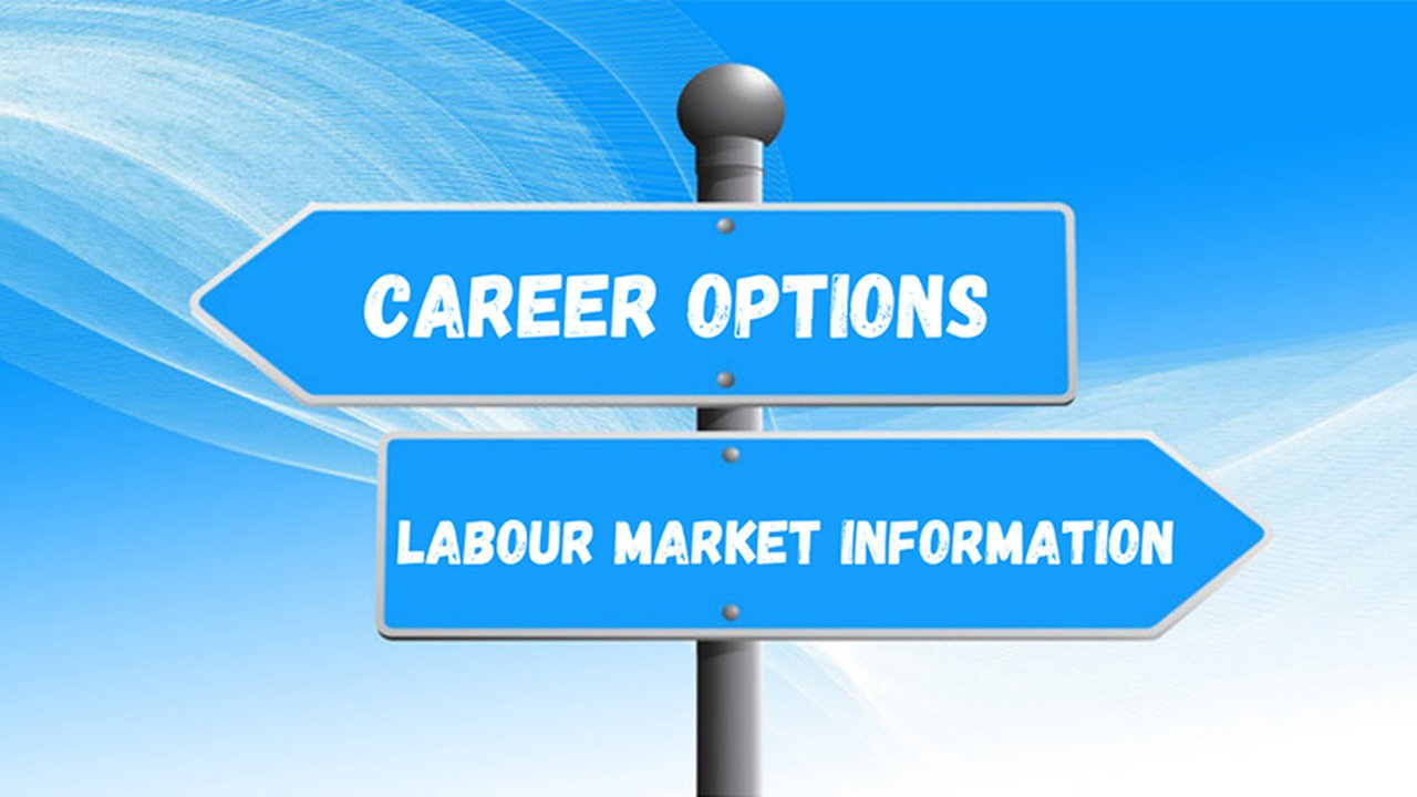 LMI and Career sign-post